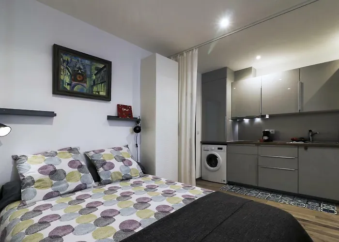 Cosy Appartement Bayonne Historique